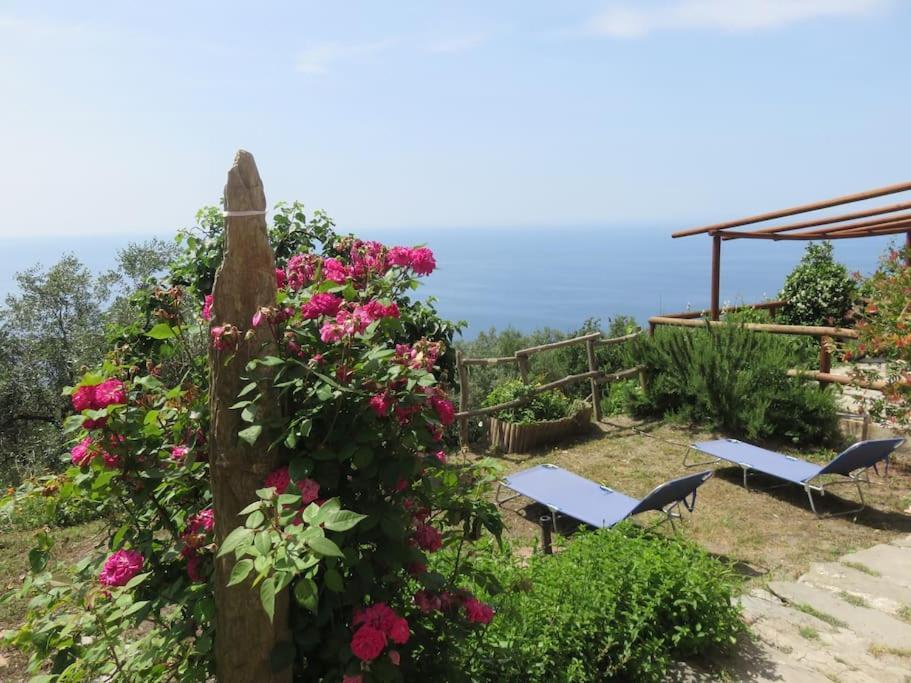 Amazing Flat At The Heart Of 5 Terre National Park Daire Vernazza Dış mekan fotoğraf