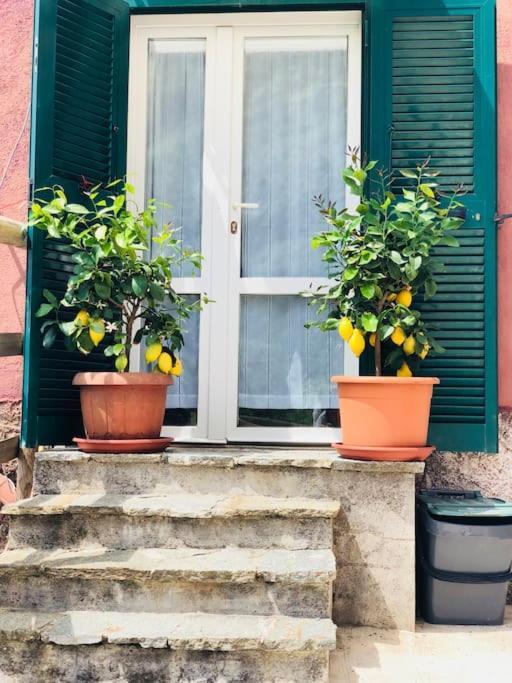 Amazing Flat At The Heart Of 5 Terre National Park Daire Vernazza Dış mekan fotoğraf
